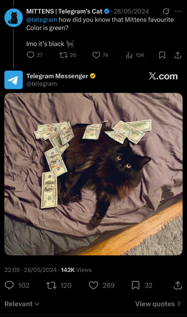 Mittens Image 1
